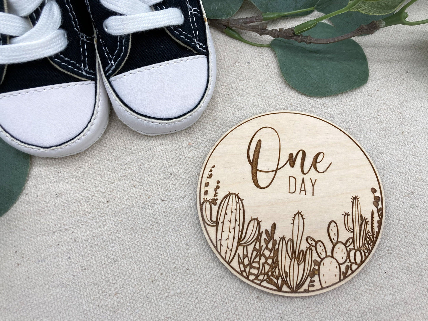 Wooden Cactus Monthly Milestone Discs