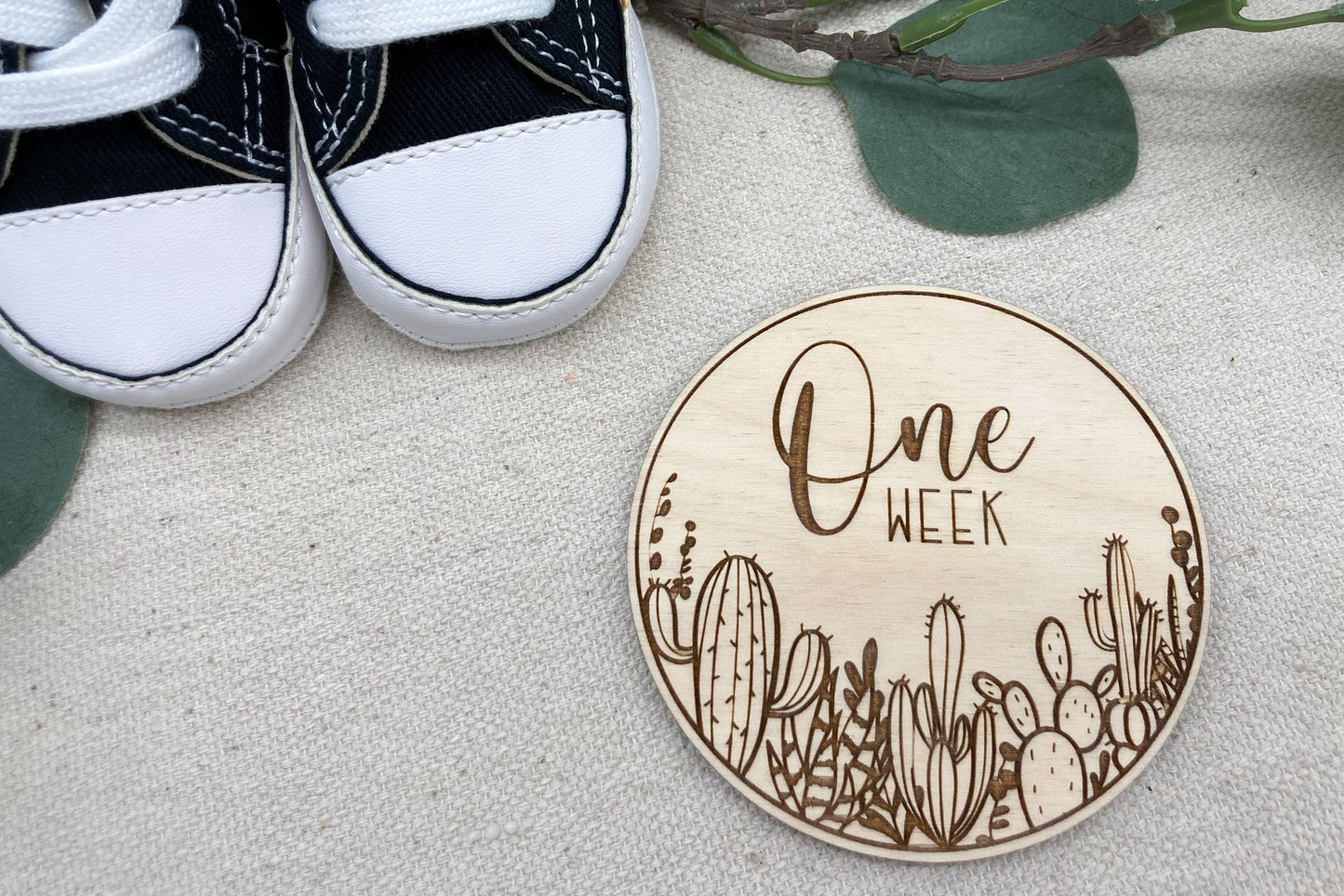 Wooden Cactus Monthly Milestone Discs